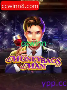 MoneybagsMan